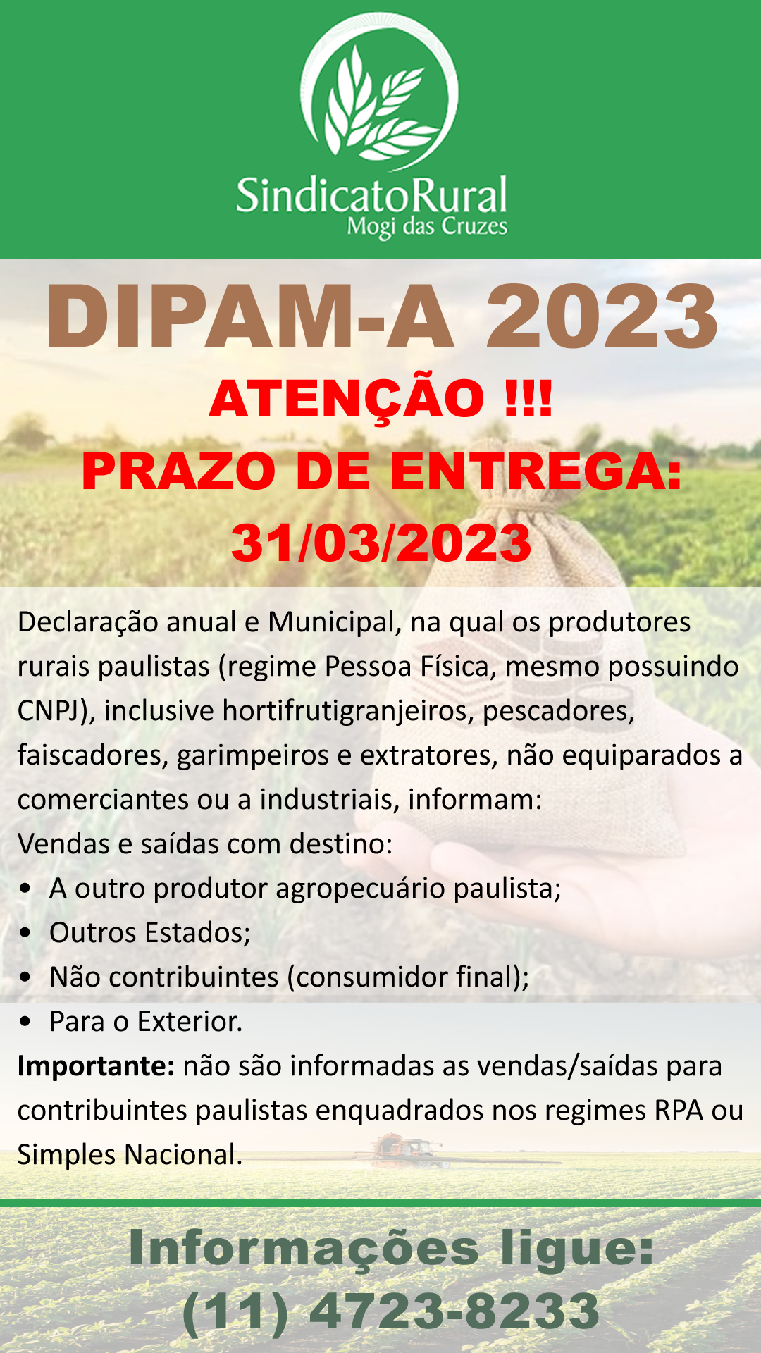 Informativo DIPAM-Chamada